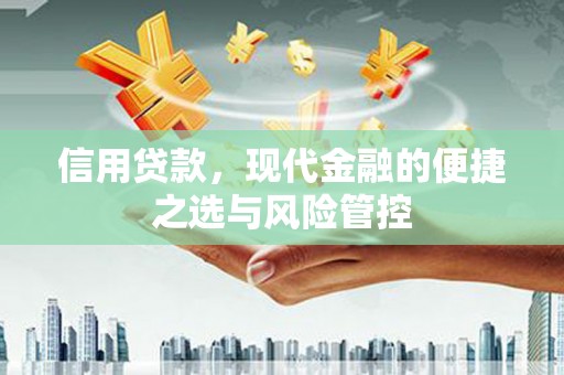 曹妃甸信用贷款，现代金融的便捷之选与风险管控