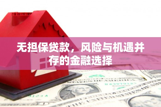 曹妃甸无担保贷款，风险与机遇并存的金融选择