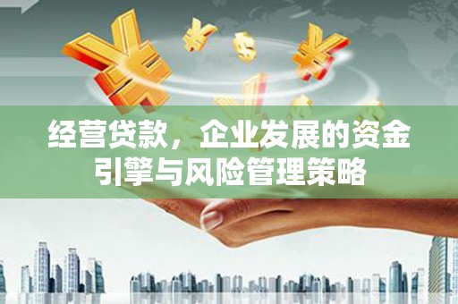 曹妃甸经营贷款，企业发展的资金引擎与风险管理策略