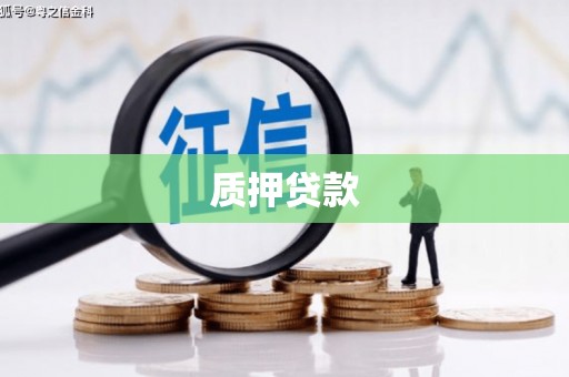 曹妃甸质押贷款