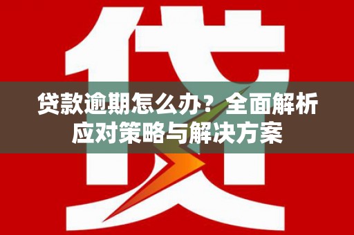 曹妃甸贷款逾期怎么办？全面解析应对策略与解决方案