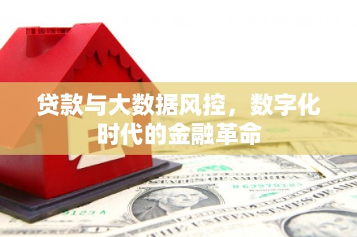曹妃甸贷款与大数据风控，数字化时代的金融革命