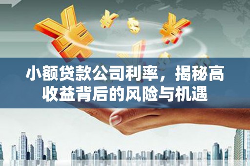 曹妃甸小额贷款公司利率，揭秘高收益背后的风险与机遇