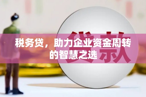 曹妃甸税务贷，助力企业资金周转的智慧之选