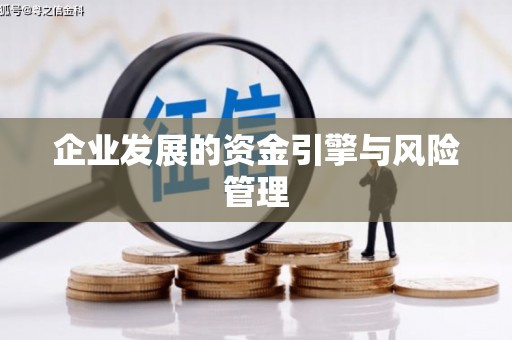 曹妃甸企业发展的资金引擎与风险管理