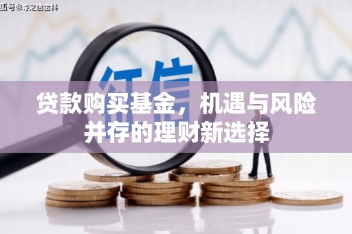 曹妃甸贷款购买基金，机遇与风险并存的理财新选择