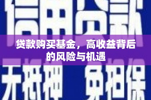 曹妃甸贷款购买基金，高收益背后的风险与机遇