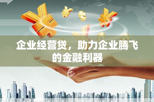 曹妃甸企业经营贷，助力企业腾飞的金融利器