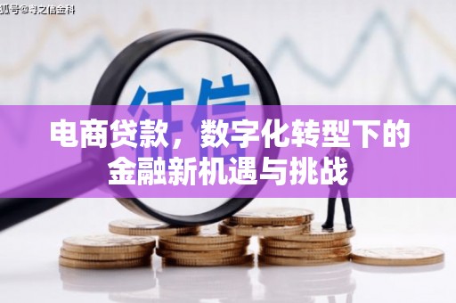 曹妃甸电商贷款，数字化转型下的金融新机遇与挑战