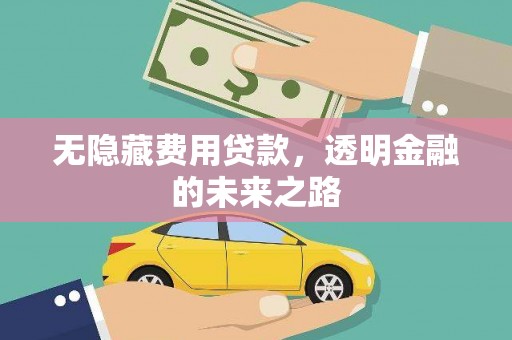 曹妃甸无隐藏费用贷款，透明金融的未来之路