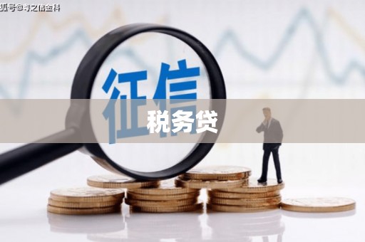 曹妃甸税务贷