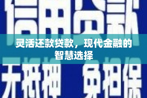 曹妃甸灵活还款贷款，现代金融的智慧选择