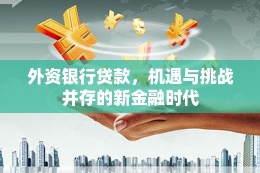 曹妃甸外资银行贷款，机遇与挑战并存的新金融时代