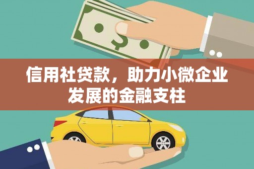 曹妃甸信用社贷款，助力小微企业发展的金融支柱