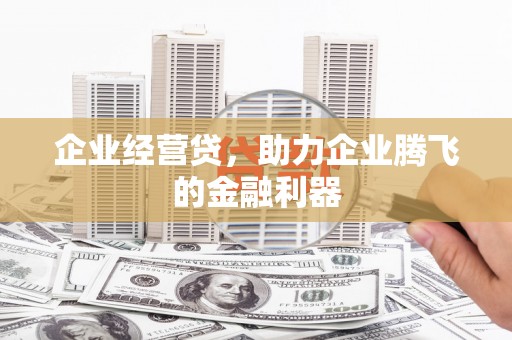 曹妃甸企业经营贷，助力企业腾飞的金融利器