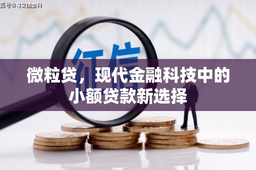 曹妃甸微粒贷，现代金融科技中的小额贷款新选择
