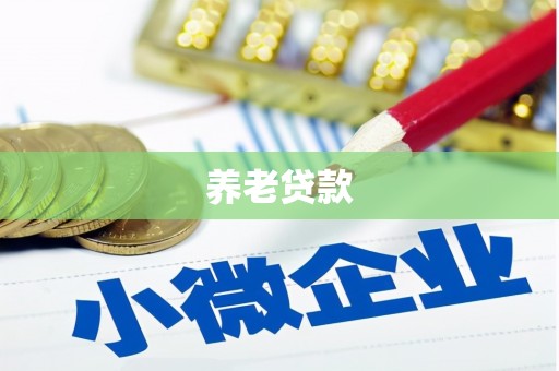 曹妃甸养老贷款
