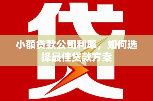 曹妃甸小额贷款公司利率，如何选择最佳贷款方案