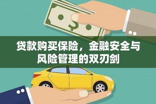 曹妃甸贷款购买保险，金融安全与风险管理的双刃剑