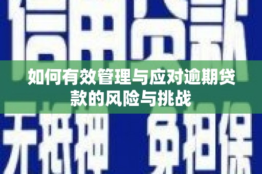 曹妃甸如何有效管理与应对逾期贷款的风险与挑战