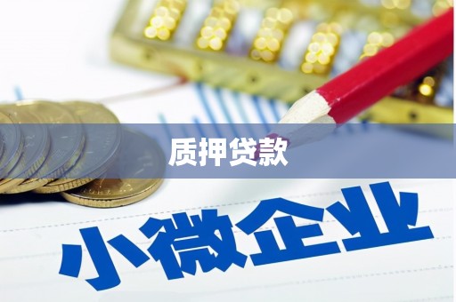 曹妃甸质押贷款