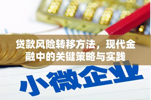 曹妃甸贷款风险转移方法，现代金融中的关键策略与实践