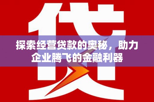 曹妃甸探索经营贷款的奥秘，助力企业腾飞的金融利器