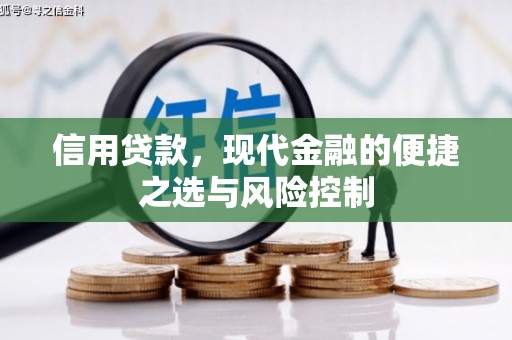曹妃甸信用贷款，现代金融的便捷之选与风险控制