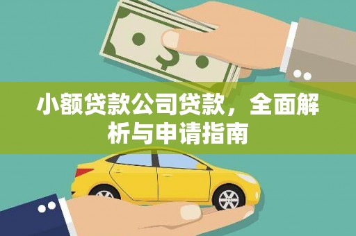 曹妃甸小额贷款公司贷款，全面解析与申请指南