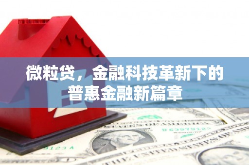 曹妃甸微粒贷，金融科技革新下的普惠金融新篇章
