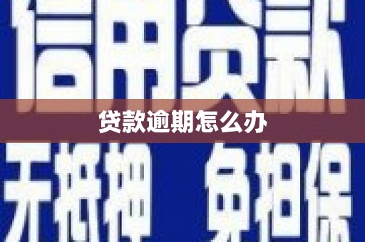 曹妃甸贷款逾期怎么办