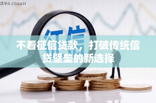 曹妃甸不看征信贷款，打破传统信贷壁垒的新选择