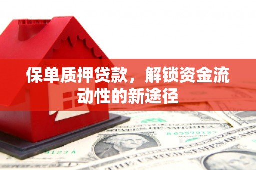 曹妃甸保单质押贷款，解锁资金流动性的新途径