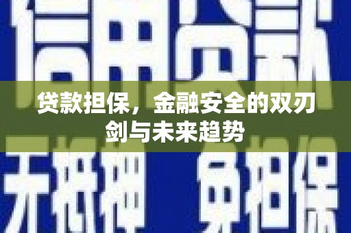 曹妃甸贷款担保，金融安全的双刃剑与未来趋势