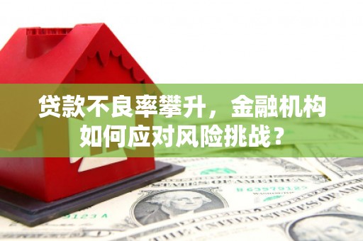 曹妃甸贷款不良率攀升，金融机构如何应对风险挑战？
