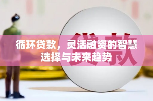 曹妃甸循环贷款，灵活融资的智慧选择与未来趋势