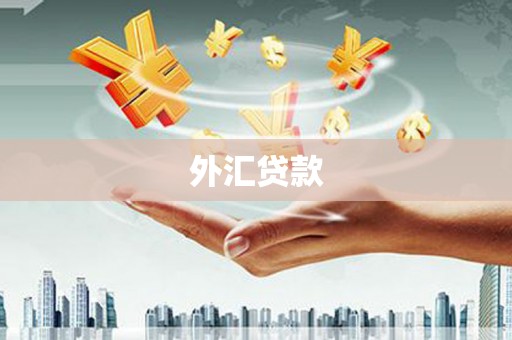 曹妃甸外汇贷款