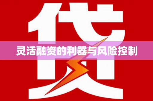 曹妃甸灵活融资的利器与风险控制