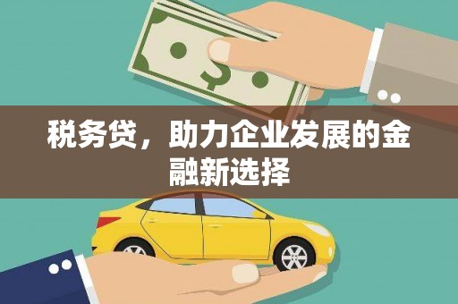 曹妃甸税务贷，助力企业发展的金融新选择