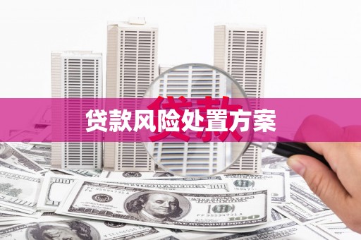 曹妃甸贷款风险处置方案