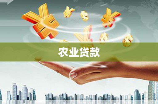 曹妃甸农业贷款