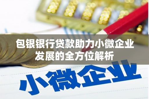 曹妃甸包银银行贷款助力小微企业发展的全方位解析