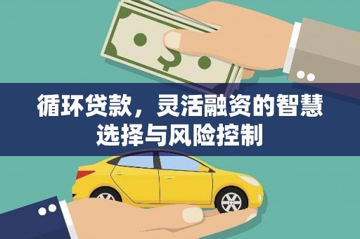 曹妃甸循环贷款，灵活融资的智慧选择与风险控制