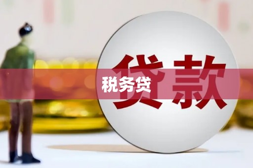 曹妃甸税务贷