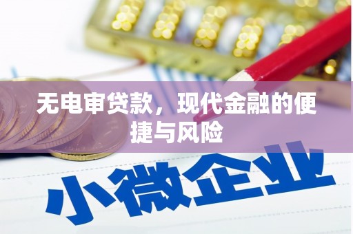 曹妃甸无电审贷款，现代金融的便捷与风险