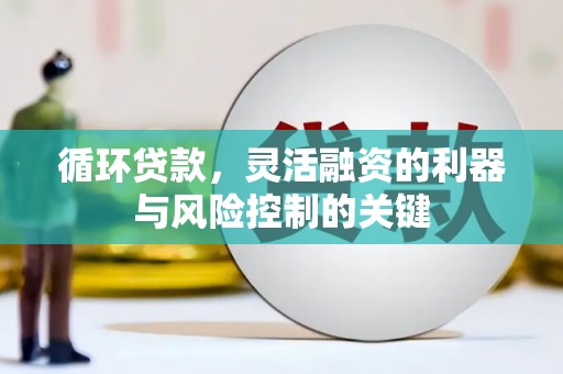曹妃甸循环贷款，灵活融资的利器与风险控制的关键