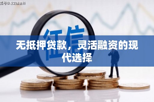 曹妃甸无抵押贷款，灵活融资的现代选择