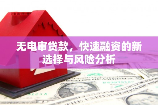 曹妃甸无电审贷款，快速融资的新选择与风险分析
