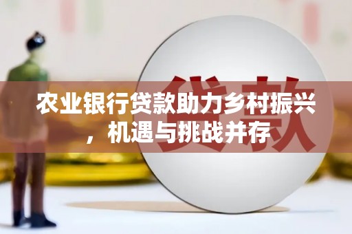 曹妃甸农业银行贷款助力乡村振兴，机遇与挑战并存