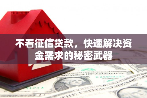 曹妃甸不看征信贷款，快速解决资金需求的秘密武器